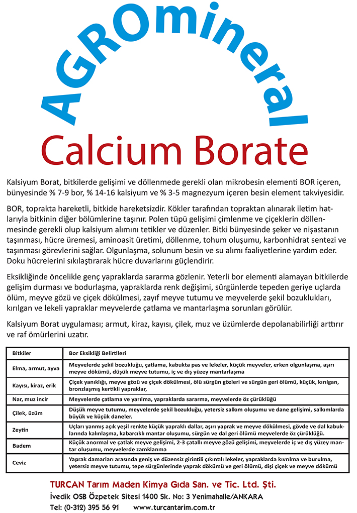 Caborat
